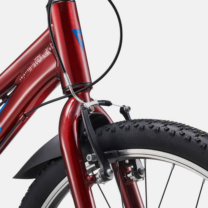 جاينت دراجة الجبال تالون 24 لايت للاطفال متعدد image number 5