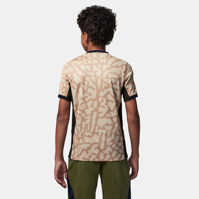 جوردن تيشيرت كرة القدم باريس سانت-جيرمان دراي-فِت ريبليكا فورث للاطفال - 2023/24 بيج image number 1