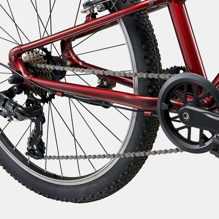 جاينت دراجة الجبال تالون 24 لايت للاطفال متعدد image number 4